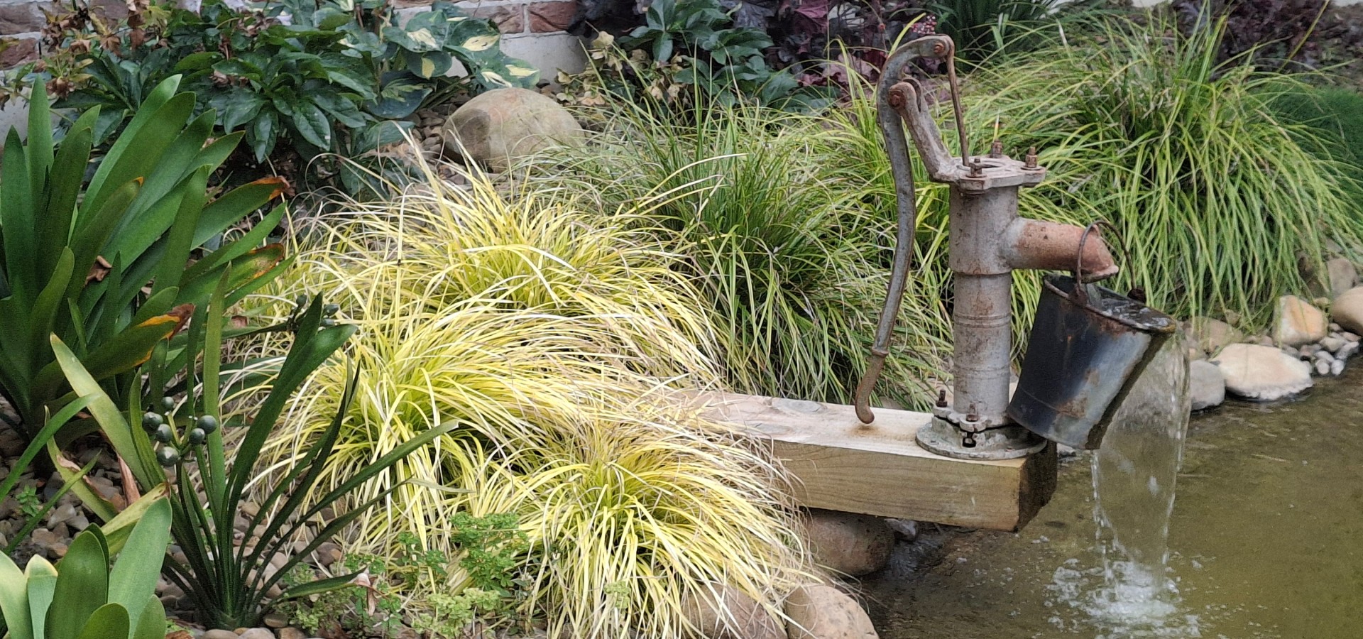 Miranda water pump